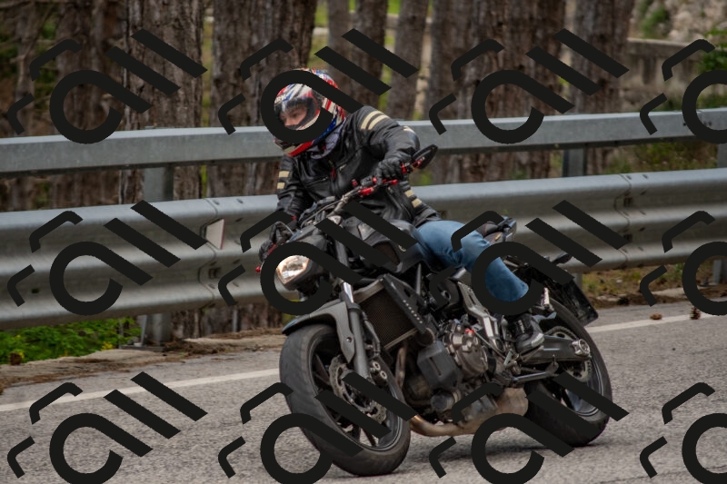 202506011429-DSC_6334_c4_