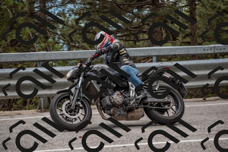 202506011429-DSC_6335_c4_