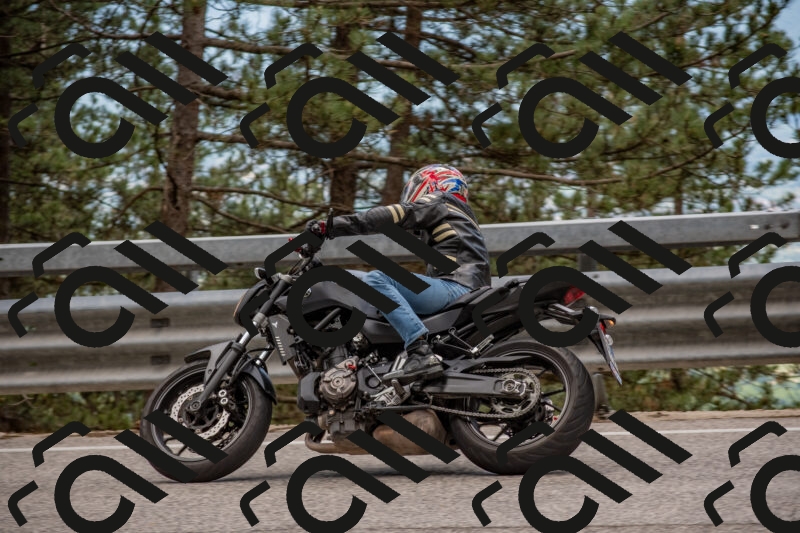 202506011429-DSC_6336_c4_