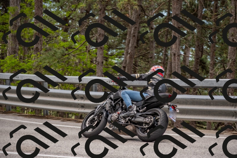 202506011429-DSC_6337_c4_