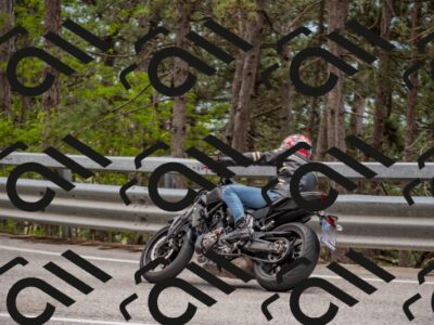 202506011429-DSC_6337_c4_