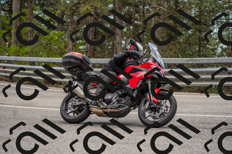 202506011433-DSC_6358_c4_