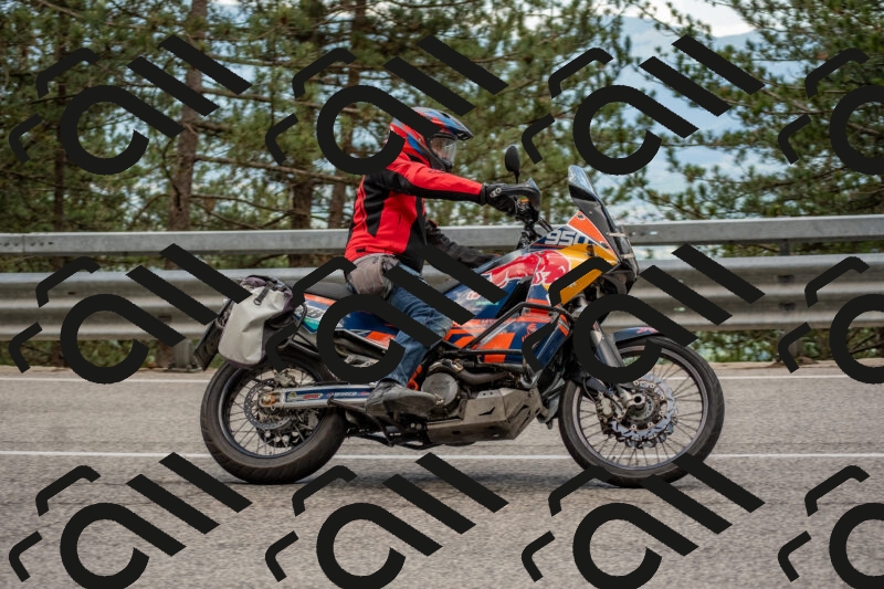 202506011433-DSC_6360_c4_