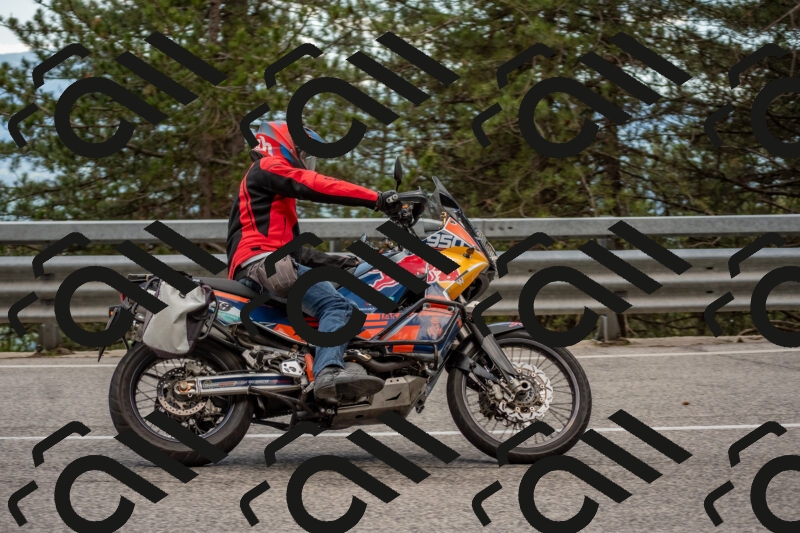 202506011433-DSC_6361_c4_