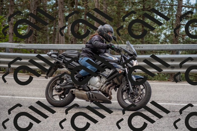 202506011434-DSC_6364_c4_