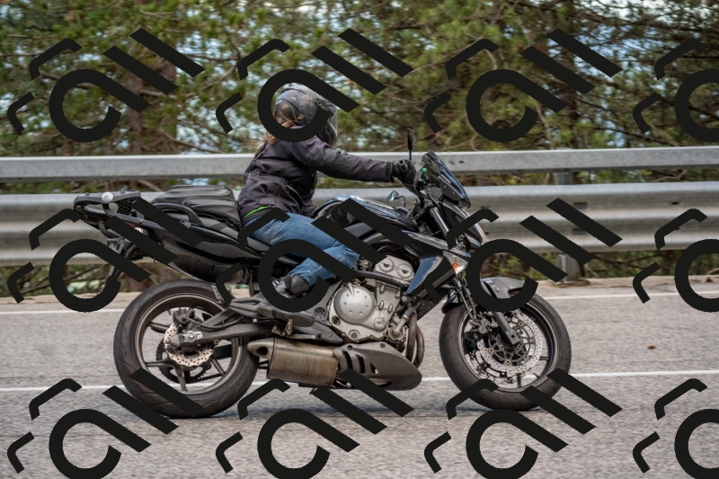 202506011434-DSC_6365_c4_