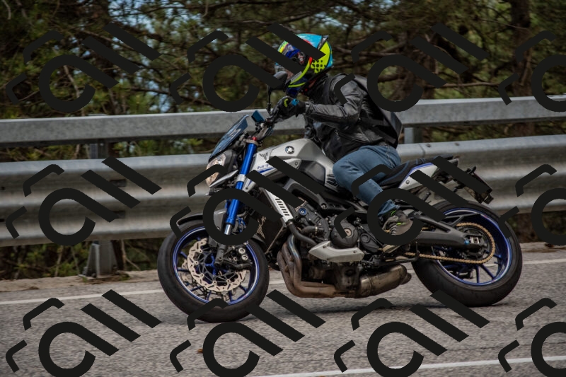 202506011435-DSC_6367_c4_