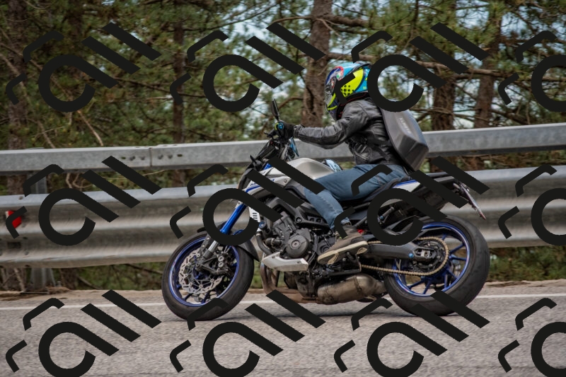 202506011435-DSC_6368_c4_