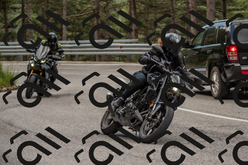 202506011436-DSC_6374_c4_