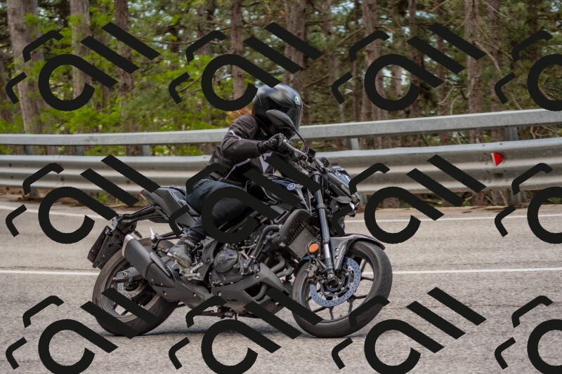 202506011436-DSC_6375_c4_