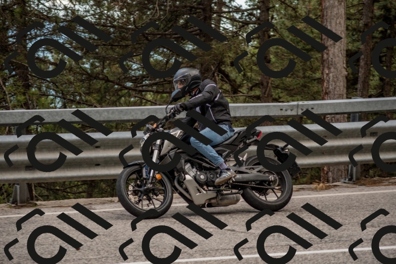 202506011436-DSC_6384_c4_