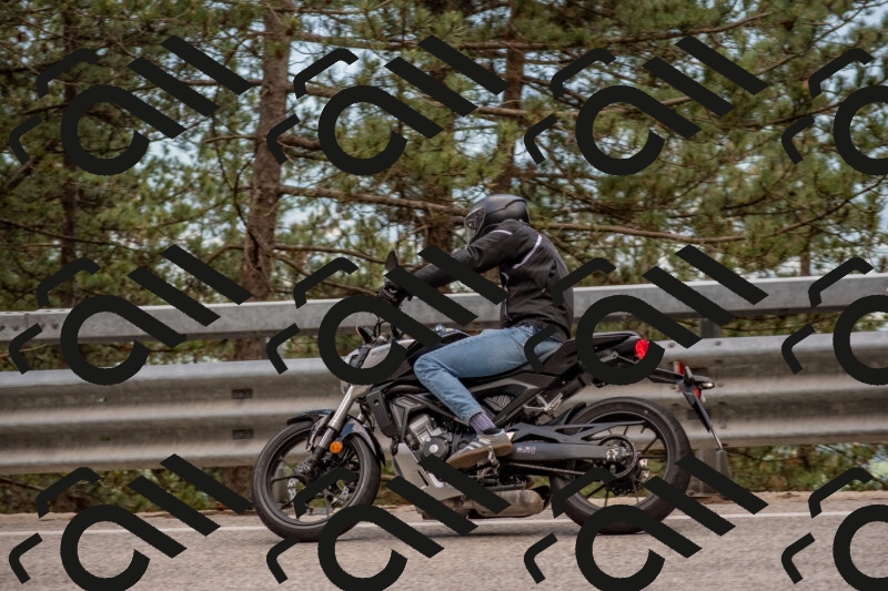 202506011436-DSC_6386_c4_