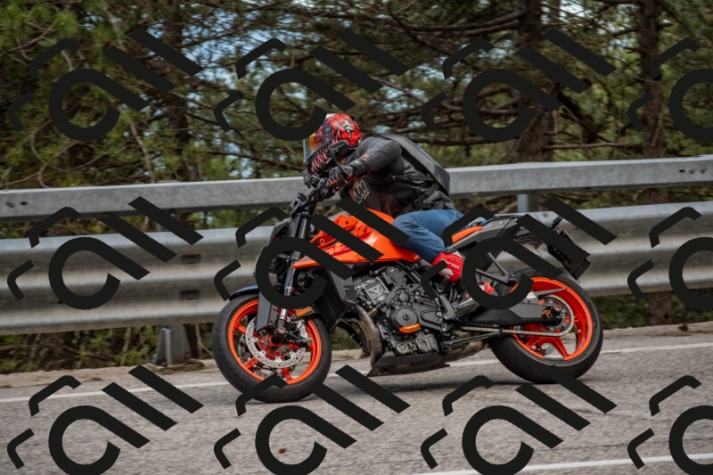 202506011436-DSC_6388_c4_