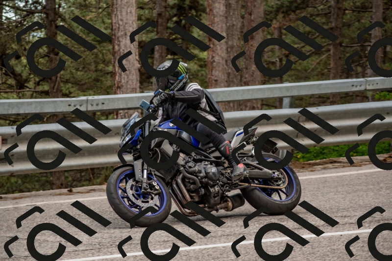 202506011436-DSC_6389_c4_