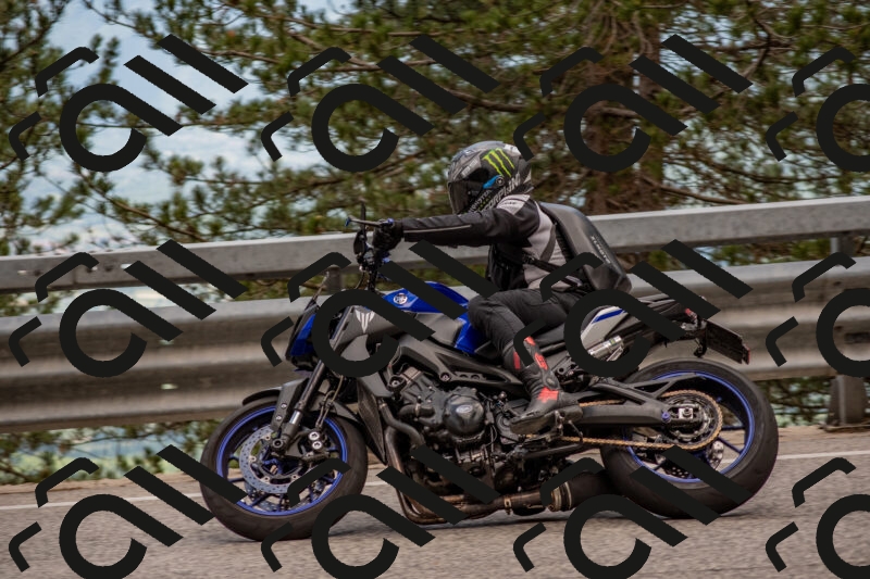 202506011436-DSC_6390_c4_