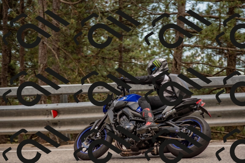 202506011436-DSC_6391_c4_