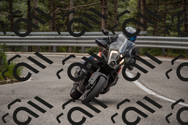 202506011437-DSC_6393_c4_