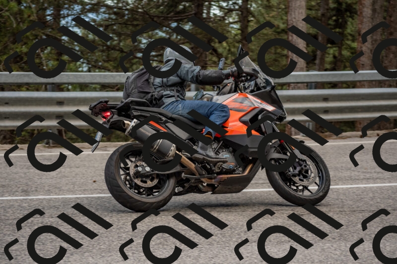 202506011437-DSC_6395_c4_