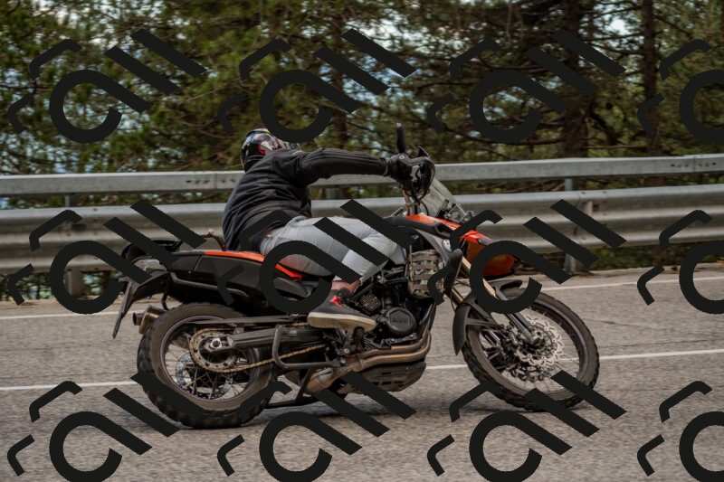 202506011437-DSC_6398_c4_