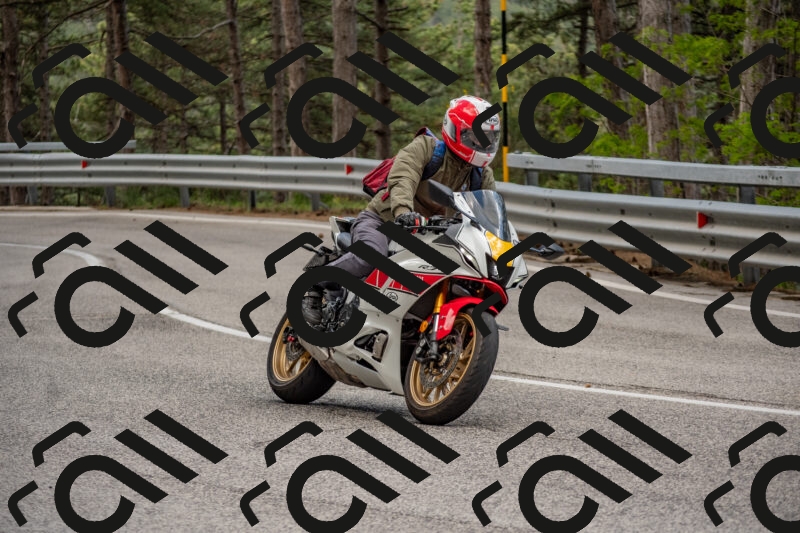 202506011437-DSC_6400_c4_