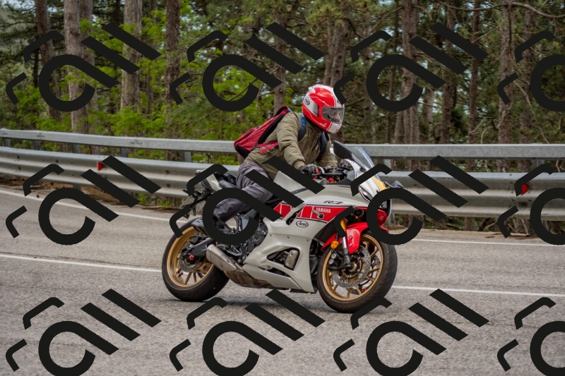 202506011437-DSC_6401_c4_