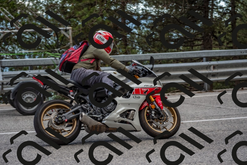 202506011437-DSC_6402_c4_