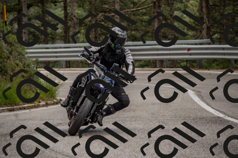 202506011437-DSC_6403_c4_