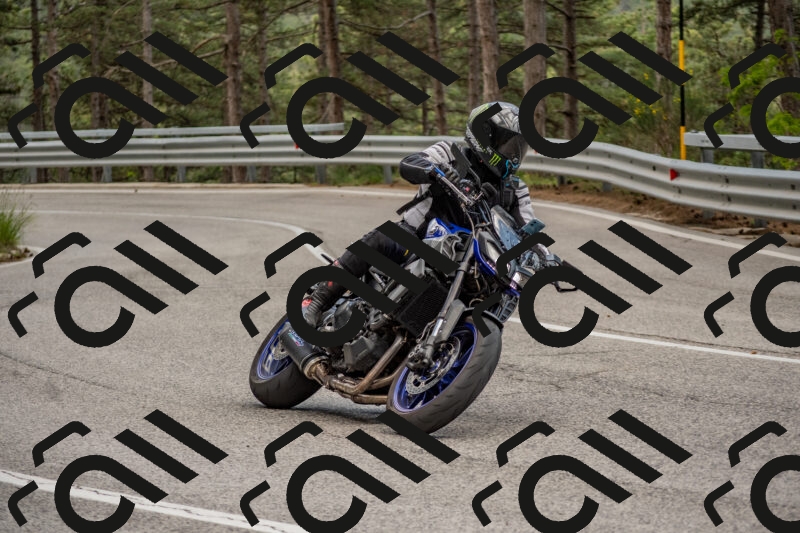 202506011437-DSC_6404_c4_