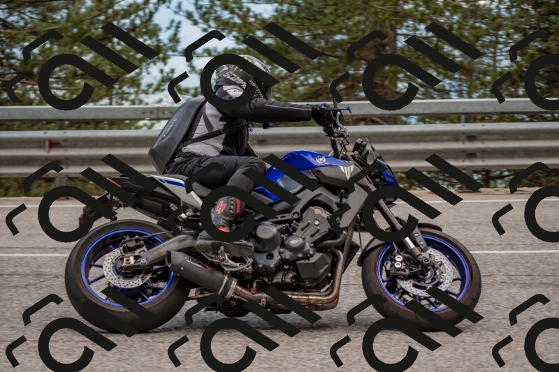 202506011437-DSC_6405_c4_