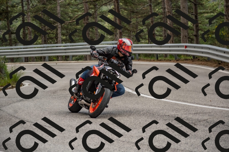 202506011438-DSC_6407_c4_