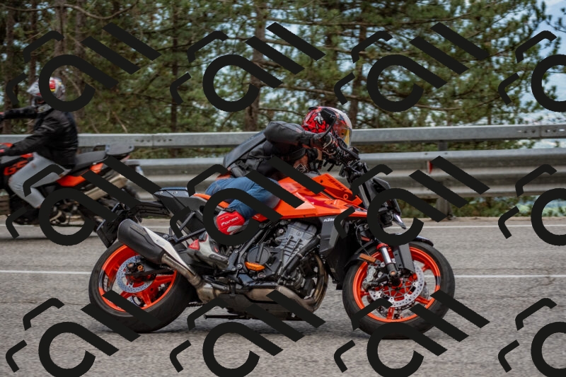 202506011438-DSC_6408_c4_