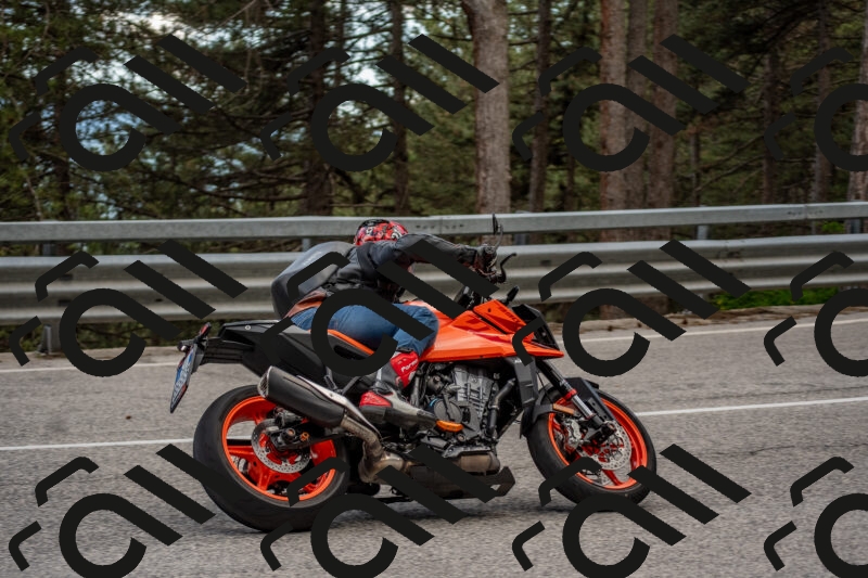 202506011438-DSC_6409_c4_