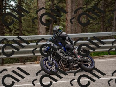 202506011438-DSC_6411_c4_