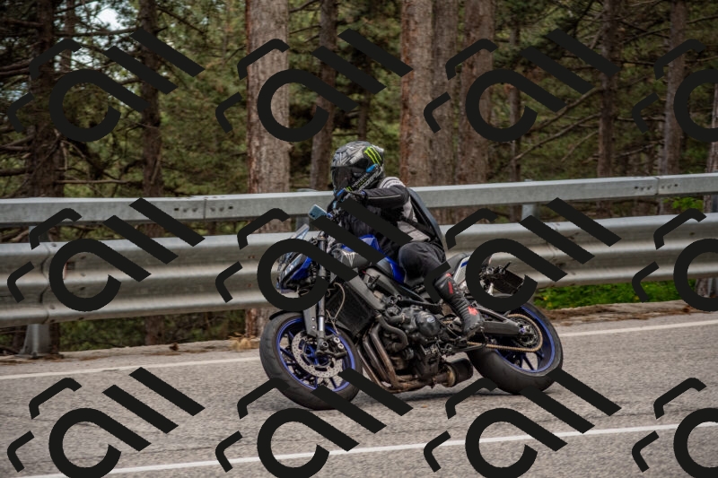 202506011438-DSC_6411_c4_