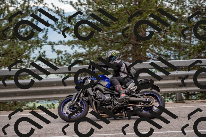 202506011438-DSC_6412_c4_