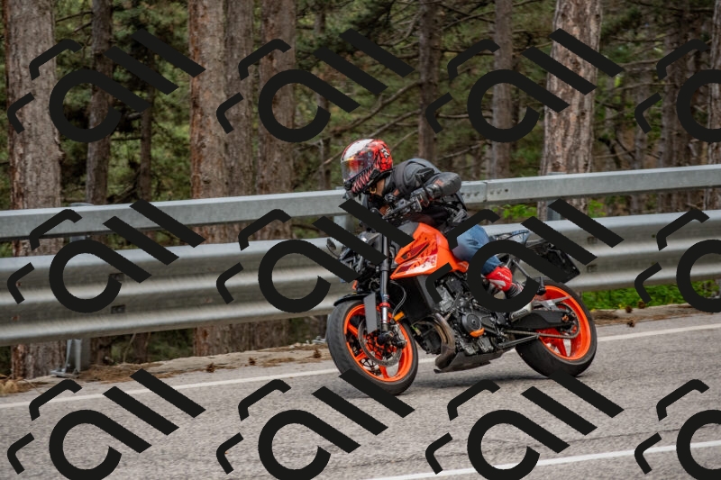 202506011438-DSC_6413_c4_