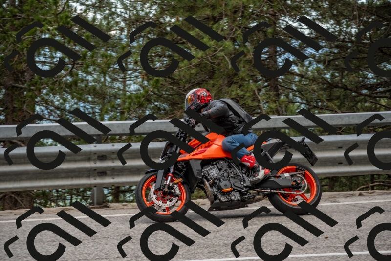 202506011438-DSC_6414_c4_