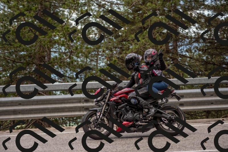 202506011440-DSC_6418_c4_