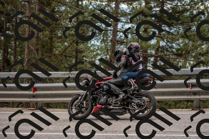 202506011440-DSC_6419_c4_