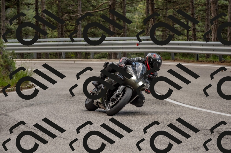 202506011441-DSC_6422_c4_