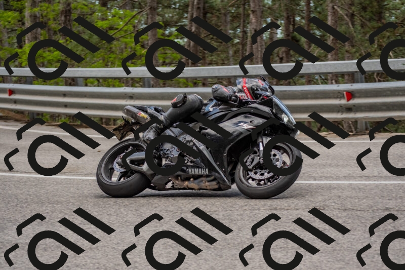 202506011441-DSC_6423_c4_