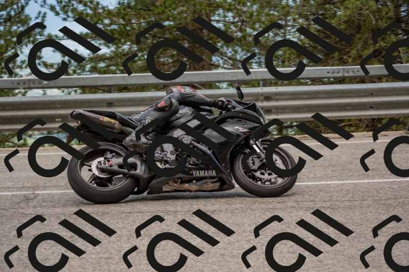 202506011441-DSC_6424_c4_