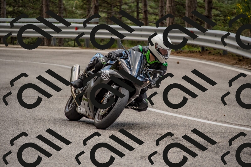 202506011441-DSC_6427_c4_