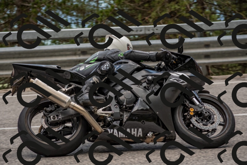 202506011441-DSC_6429_c4_