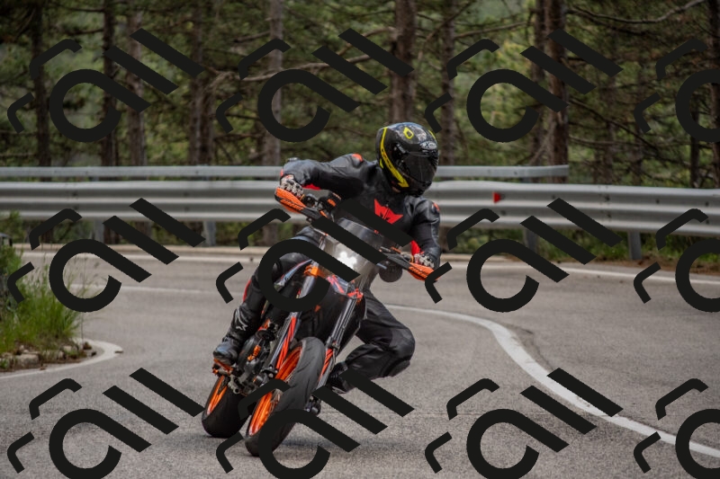 202506011441-DSC_6431_c4_