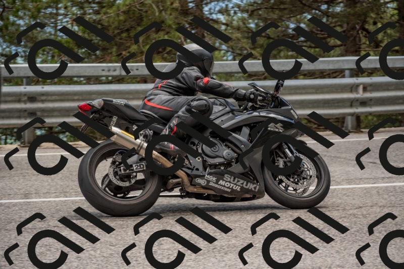 202506011441-DSC_6439_c4_