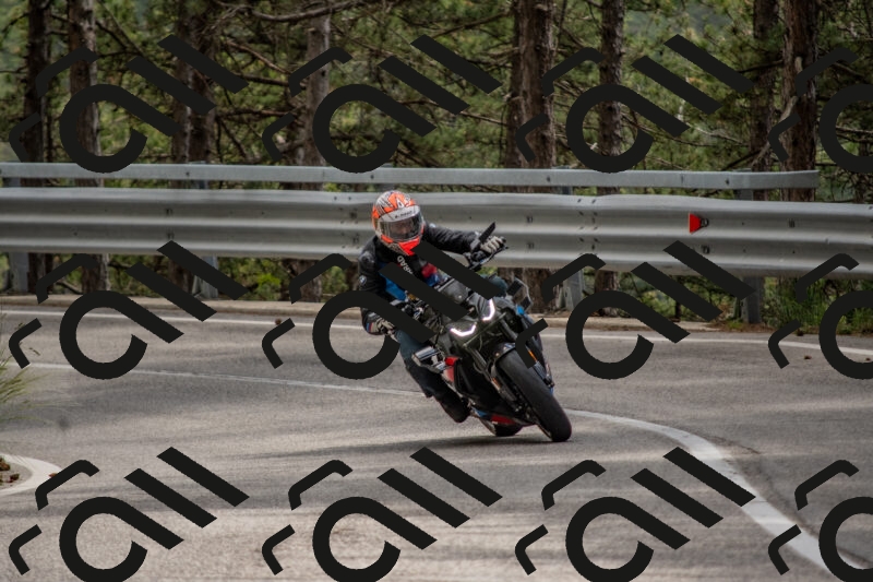 202506011443-DSC_6441_c4_