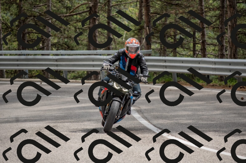 202506011443-DSC_6442_c4_