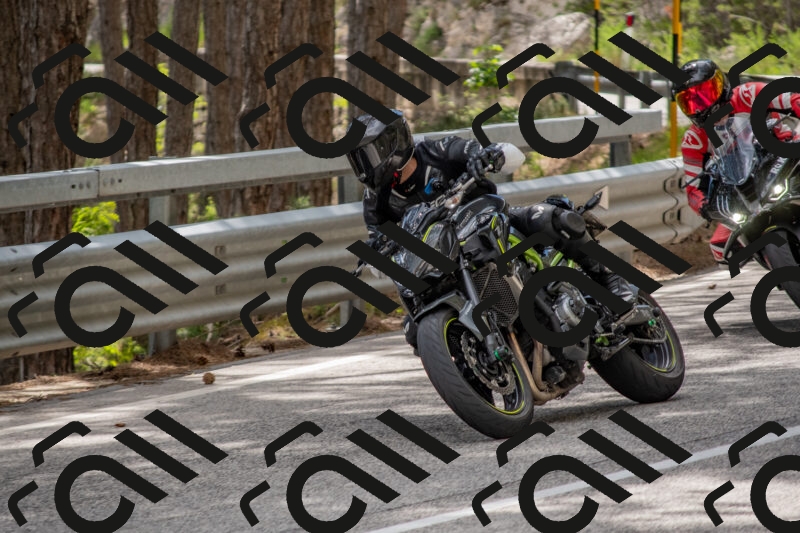 202506011444-DSC_6446_c4_