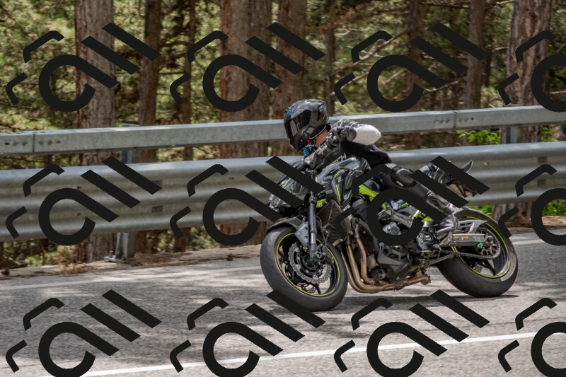 202506011444-DSC_6447_c4_